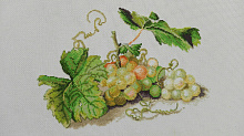 Отзыв о Наборе для вышивания "Ветка винограда" по рисунку Ф. Толстого от фирмы Марья Искусница