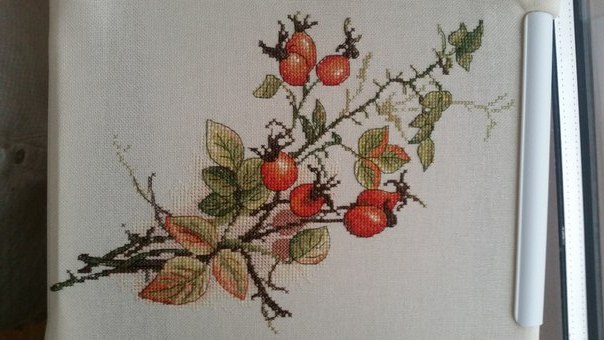 Отзыв о наборе для вышивания "Осенний шиповник" от фирмы Марья Искусница