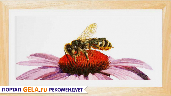 «Пчела на эхинацее» от THEA GOUVERNEUR