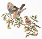 Набор для вышивания "Сойки", канва лён 36 ct. Арт 2022                    