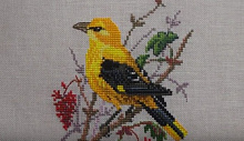 Отзыв о Наборе для вышивания "Птицы 4 сюжета"  от фирмы EVA ROSENSTAND