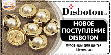 Поступление DISBOTON